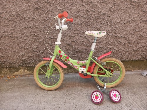 Bicicletta con rotelle per bambina 3-6 anni